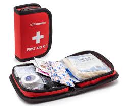 Travel Mini Kit