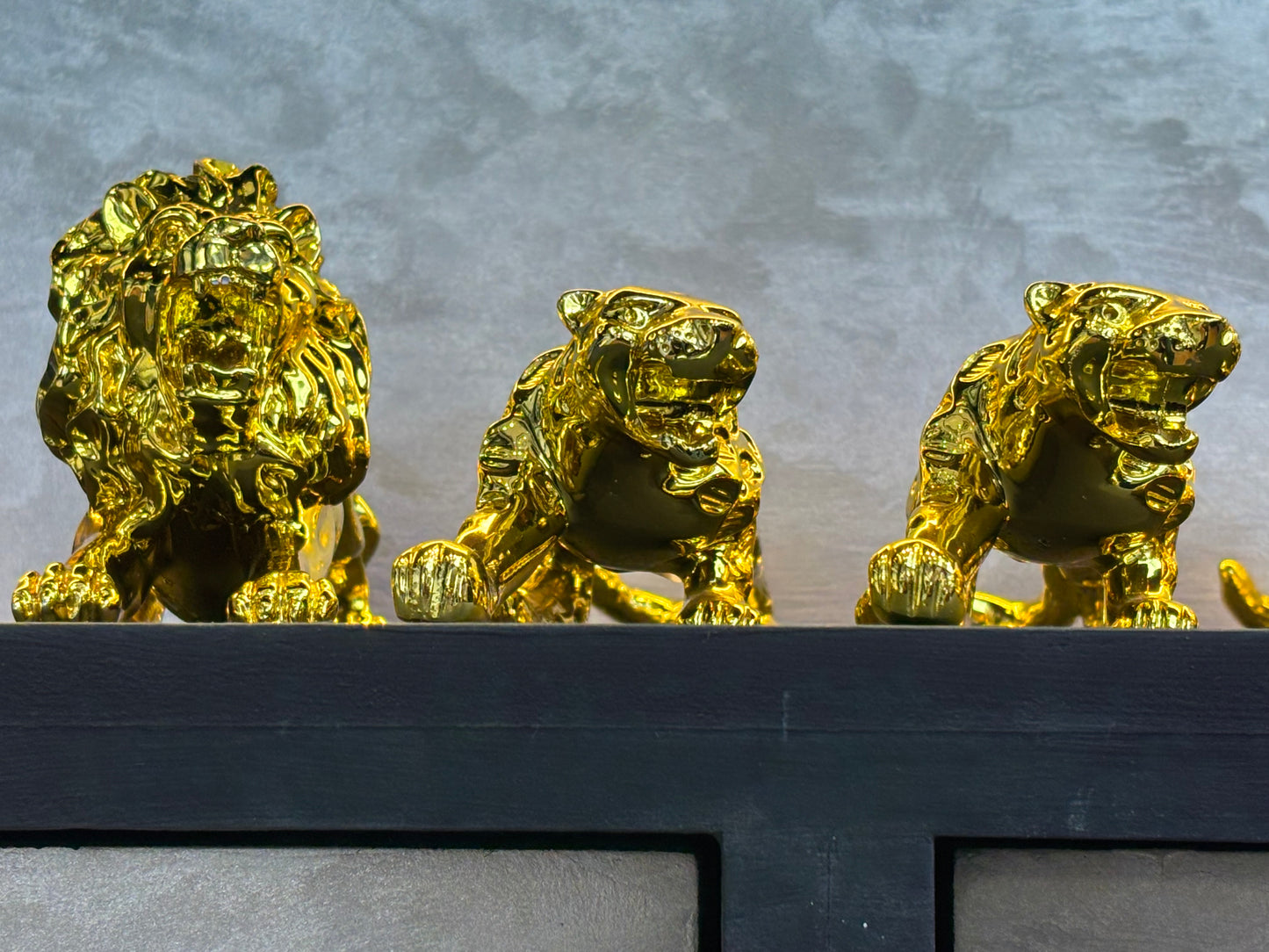 LION FOR LEOPARD DASHBOARD SMALL