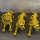 LION FOR LEOPARD DASHBOARD SMALL