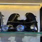 FOG LIGHT NEW